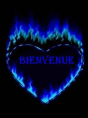  bienvenu 